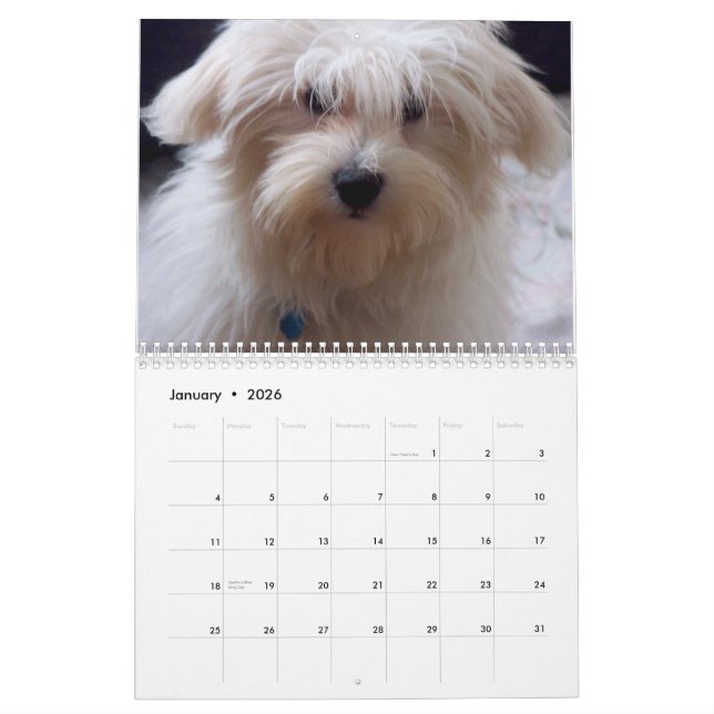 Coton Candy Calendar (Jan 2026)