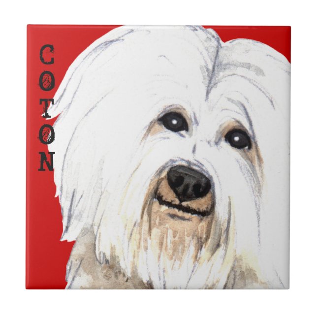 Coton Colour Block Tile (Front)