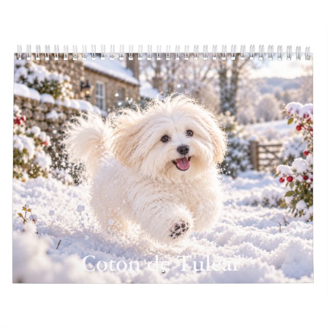 Coton de Tulear Calendar (Cover)