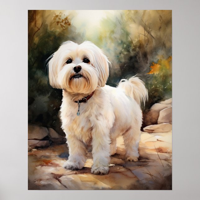 Coton De Tulear Dog Art Print Poster (Front)