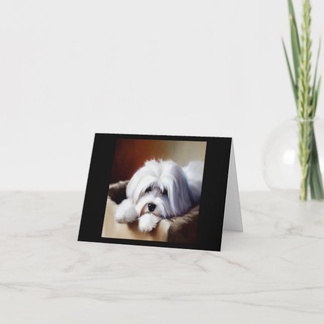 Coton de Tulear Dog Card (Front)