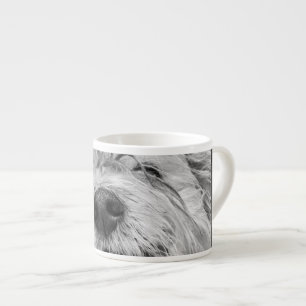 Coton de Tulear dog Espresso Cup