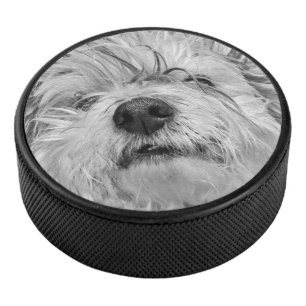 Coton de Tulear dog Hockey Puck