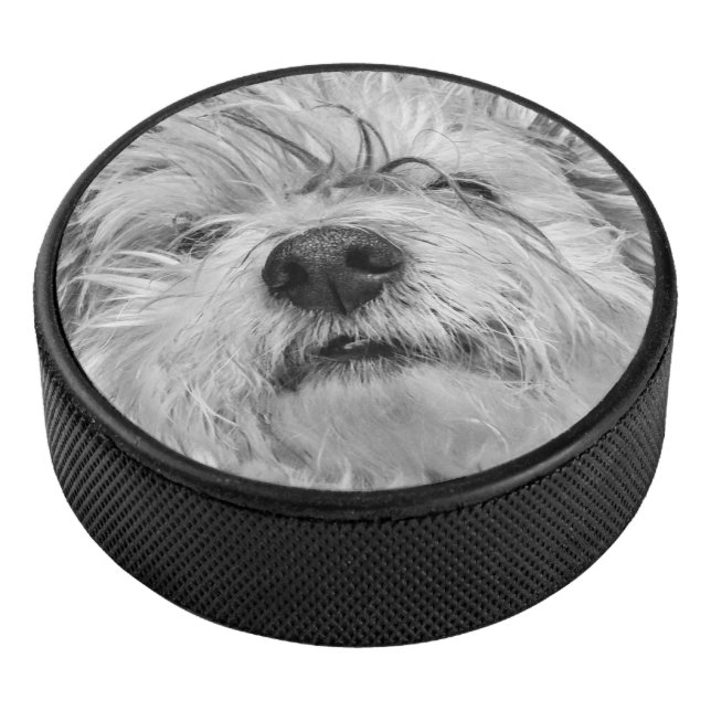 Coton de Tulear dog Hockey Puck (3/4)