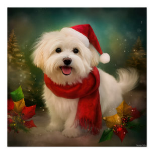 Coton De Tulear Dog in Snow Christmas Poster
