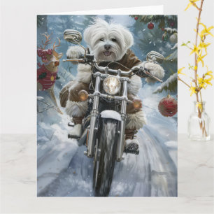 Coton De Tulear Dog Riding Motorcycle Christmas Card