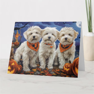 Coton De Tulear Halloween Spooky Card