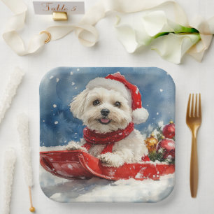 Coton De Tulear in Sledge Let it Snow Christmas Paper Plate
