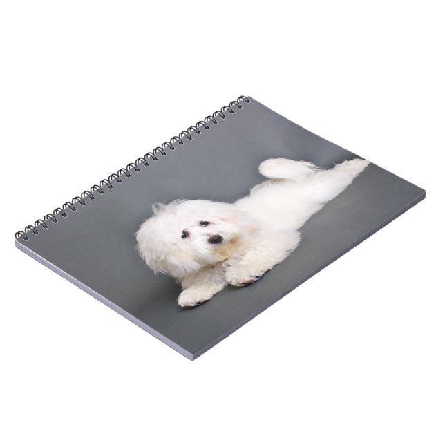 Coton de Tulear - Joci Spiral Notebook (Left Side)