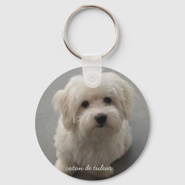 Coton de Tulear Key Ring (Front)