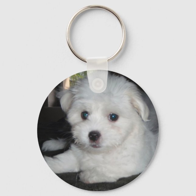 Coton De Tulear Key Ring (Front)