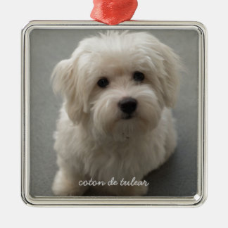 Coton de Tulear Metal Tree Decoration