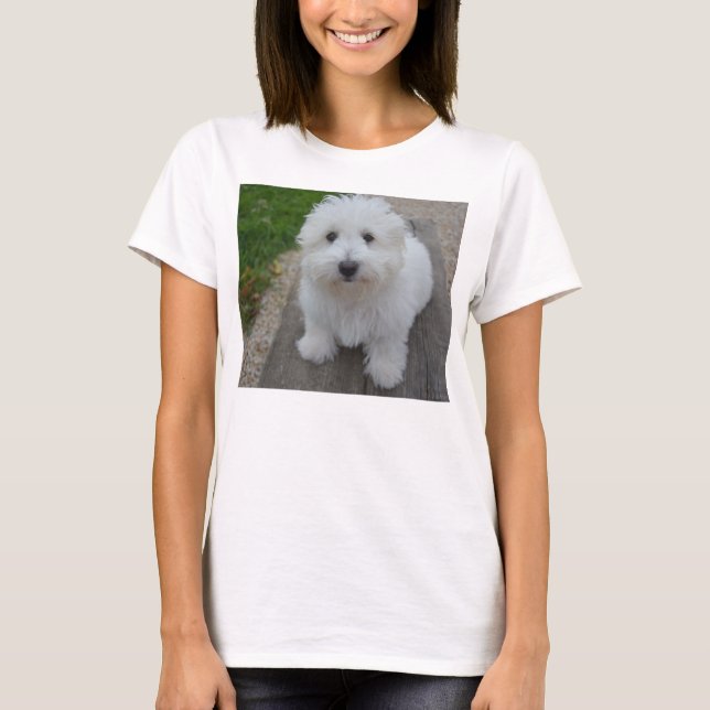 coton de tulear on bench T-Shirt (Front)