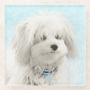 Coton de Tulear Painting - Cute Original Dog Art Glass Coaster