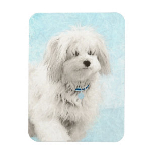 Coton de Tulear Painting - Cute Original Dog Art Magnet