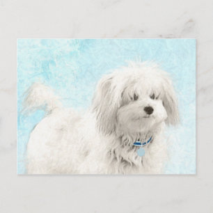 Coton de Tulear Painting - Cute Original Dog Art Postcard