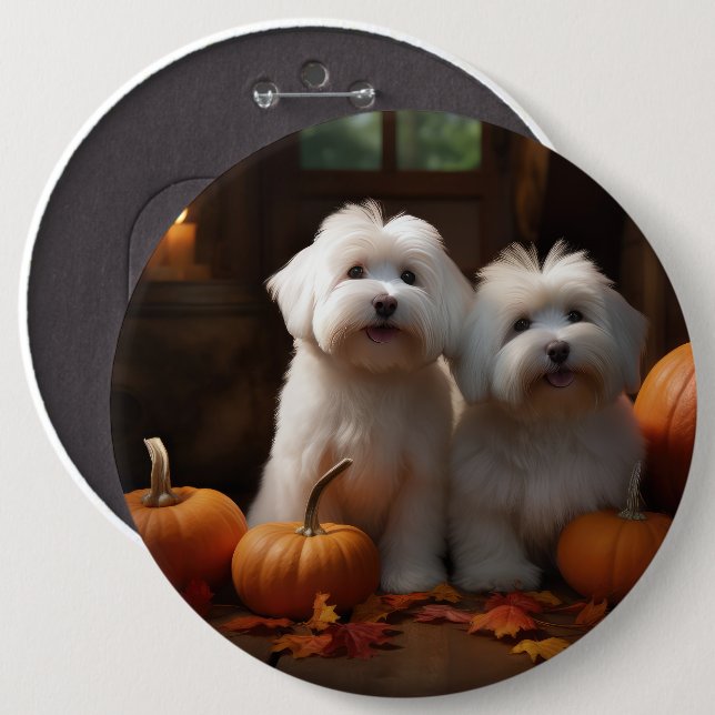 Coton De Tulear Puppy Autumn Delight Pumpkin  6 Cm Round Badge (Front & Back)