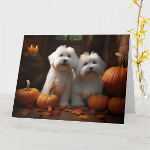 Coton De Tulear Puppy Autumn Delight Pumpkin  Card