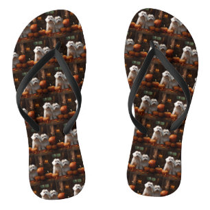 Coton De Tulear Puppy Autumn Delight Pumpkin Jandals