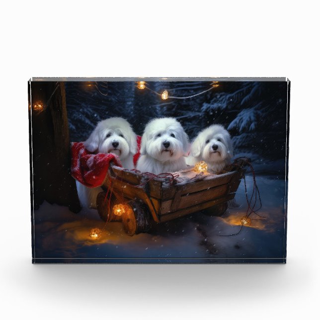 Coton De Tulear Snowy Sleigh Christmas Decor  Photo Block (Front)