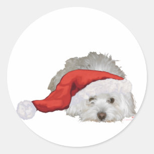 Coton de Tulear - Waiting Classic Round Sticker