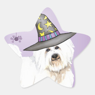 Coton Witch Star Sticker
