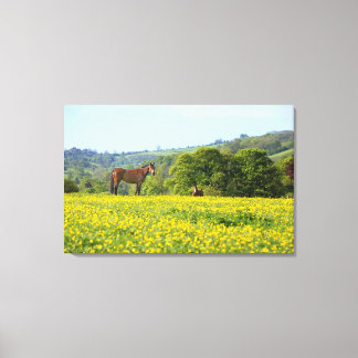 Cotswolds, UK Canvas Print