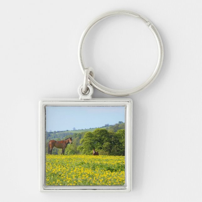 Cotswolds, UK Key Ring (Front)