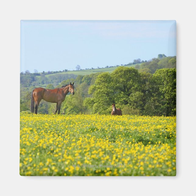 Cotswolds, UK Magnet (Front)