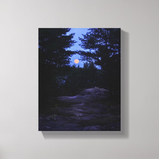 Cottage country moonrise in the woods canvas print (Front)