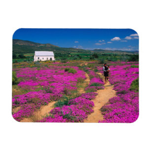 Cottage, Flowers And Girl, Near Kamieskroon Magnet