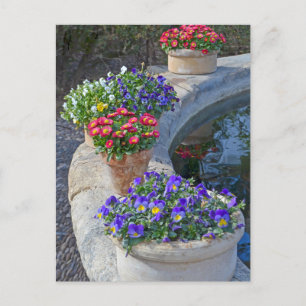 Cottage Garden Flowers Postcard