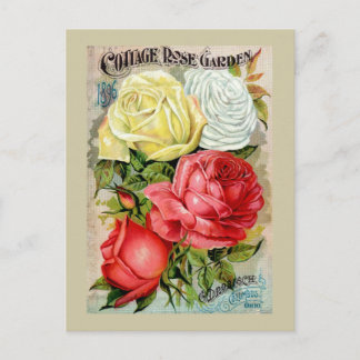 Cottage Rose Garden Advertisement Postcard