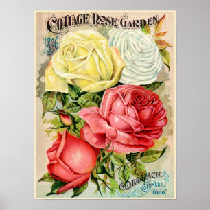 Cottage Rose Garden Drobisch Advertisement Poster