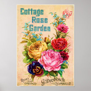 Cottage Rose Garden Vintage Advertisement Poster
