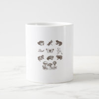 Cottagecore Aesthetic Mushroom Academia Frog Gobli