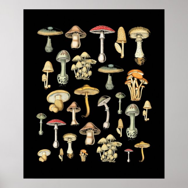 Cottagecore Aesthetic Mushroom Poster (Front)