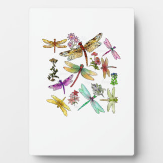 Cottagecore Floral Dragonfly Breed Collection Ento Plaque