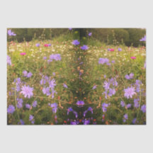 Cottagecore Flower Meadow