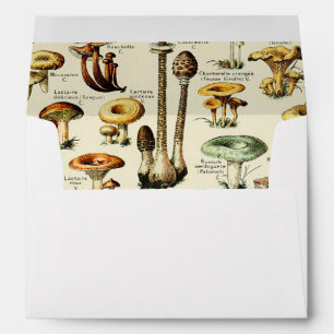 Cottagecore Mushrooms Vintage Naturalist Envelope