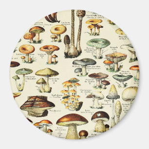 Cottagecore Mushrooms Vintage Naturalist Magnet