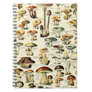 Cottagecore Mushrooms Vintage Naturalist Notebook