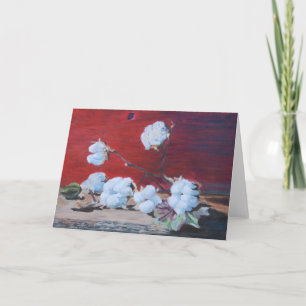 Cotton Boll Still Life Card