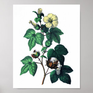 Cotton Botanical Print