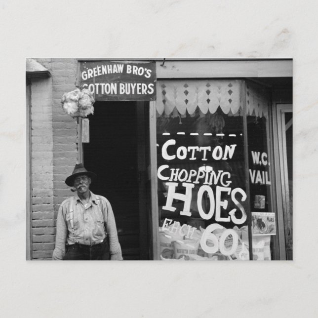 Cotton Chopping Hoes, 1930s Postcard (Front)