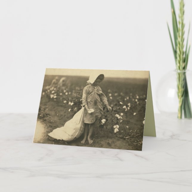 Cotton Field Card (Front)