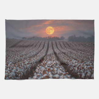 Cotton Field Harvest Moon - Farmhouse Decor Tea Towel