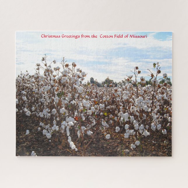 Cotton Field  Missouri. Jigsaw Puzzle (Horizontal)