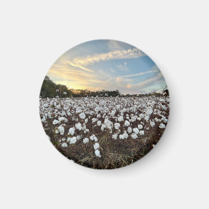Cotton Fields Magnet