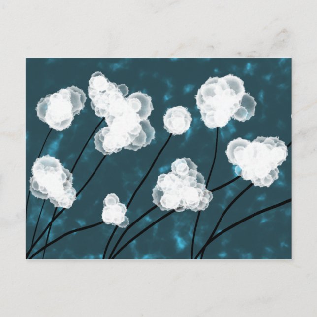 Cotton Gem Postcard (Front)